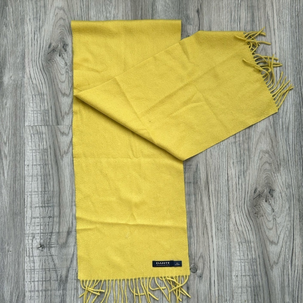 Dante Accessories 100% Cashmere Scarf w/ Fringe